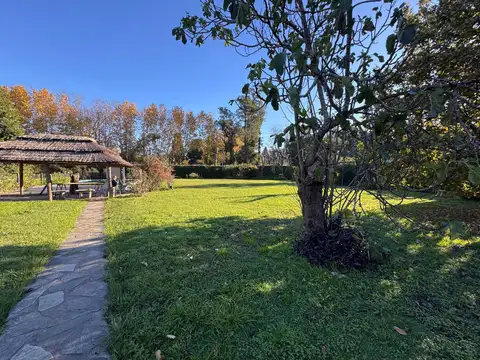 Comandante González 52