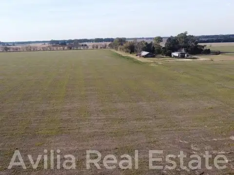 Chacra en Baradero RP41 Km 315