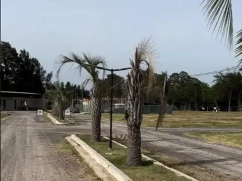 158 e/467y470 (Lote 39)