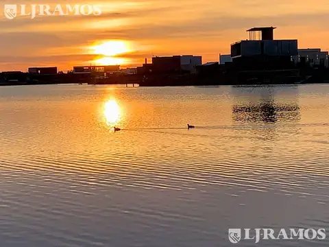 Terreno en Venta de 786,0 m2