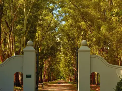 Terreno en Venta de 2729,0 m2