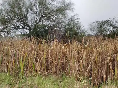 Terreno en Venta de 2834,0 m2