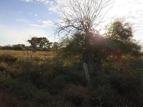 Terreno en Venta en Chascomus, USD 70.000