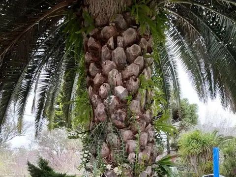 Quinta - Venta - Argentina, Ezeiza - rio tunuyan 1100