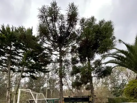 Quinta - Venta - Argentina, Ezeiza - rio tunuyan 1100