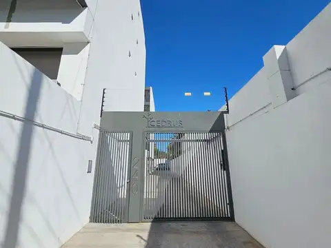 Anacleto Rojas al 200