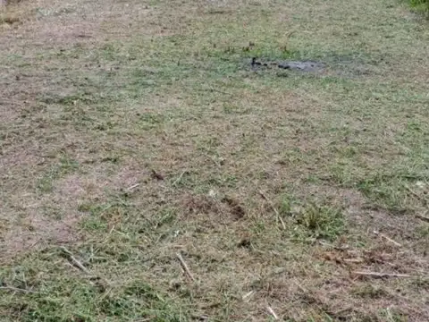 Terreno en Venta en Los Pioneros, USD 16.000