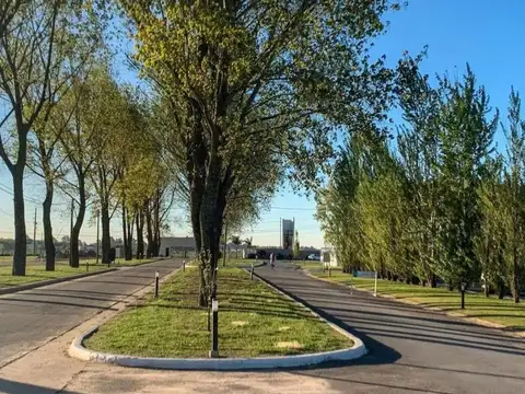 Terreno en Venta de 786,0 m2