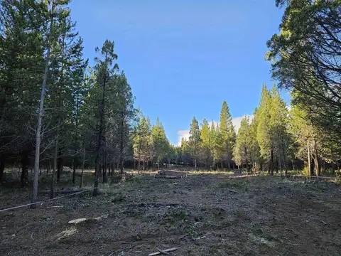 Mallín Ahogado Loteo Los Cipreses