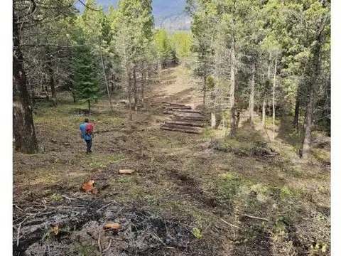 Mallín Ahogado Loteo Los Cipreses