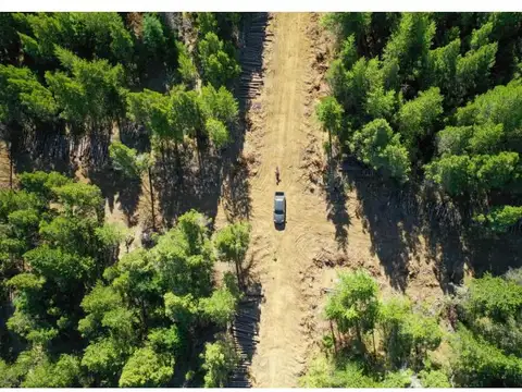Mallín Ahogado Loteo Los Cipreses