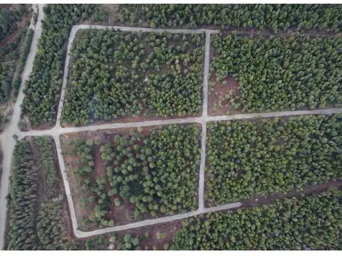 Terreno en Venta de 2500,0 m2