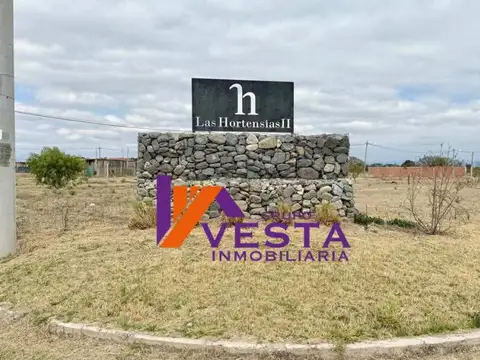 LAS HORTENSIAS-TERRENO-VENTA-CERRILLOS