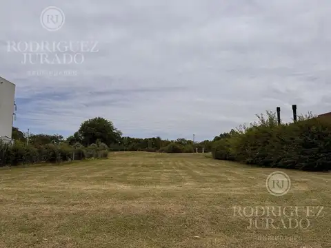 Haras Santa Maria - El Atardecer 300