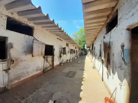 Stud en venta de 378m2 ubicado en Ensenada