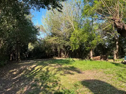 Sold H Jose Echaue 300