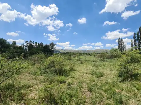 Terreno en Venta de 987,0 m2