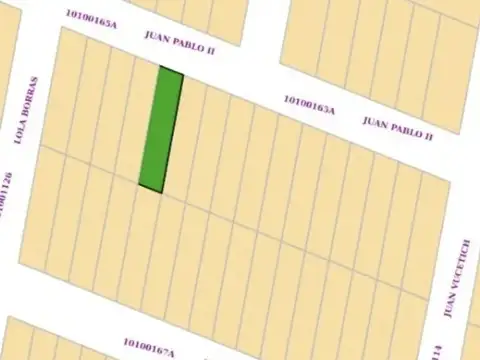 Juan Pablo Ii Y Lola Boraz S/n