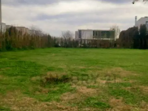 Boulevard de los Castaños 200, Piso 0