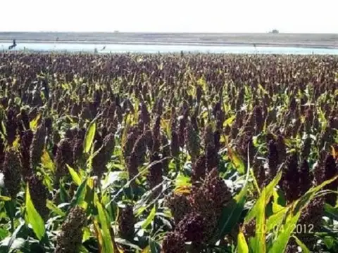 Casa en Venta en Darregueira, $ 1