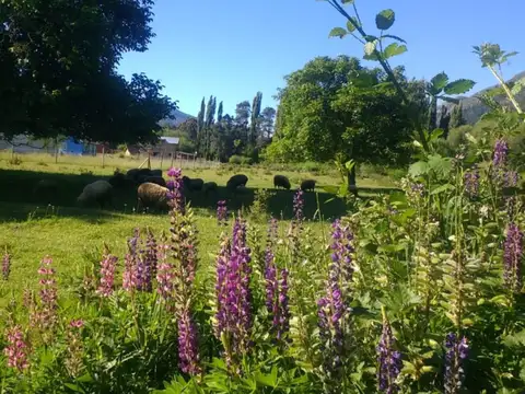 Lotes en Condmonio - Venta  - Kalfukó - Lago Puelo - Chubut