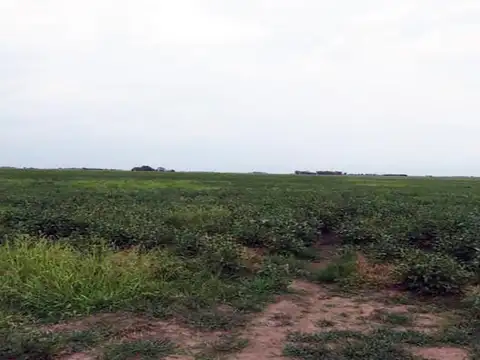 Terreno en Venta en Saladillo, USD 3.416.000