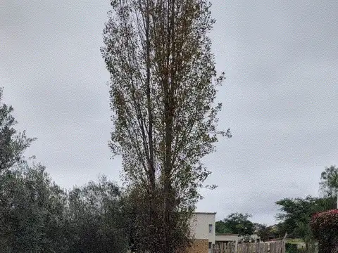 Casa en Venta 12 años