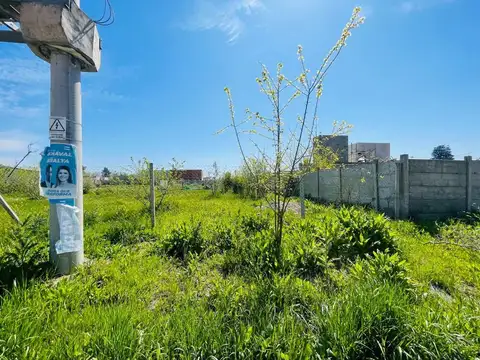 Ntra Sra del Pilar Juan Hipolito Vieytes 100