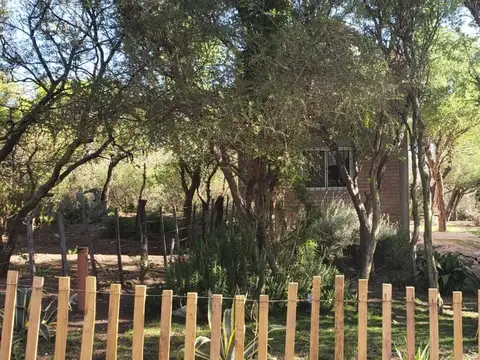 Publica S/n ( Cruz De Caña)