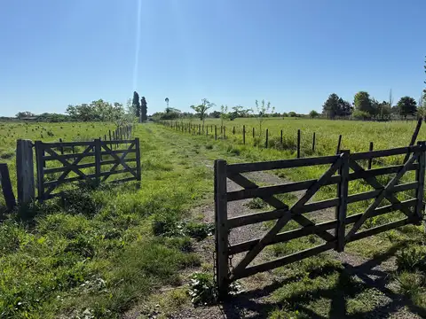 Venta - Campo 23 ha - con casco a metros de ruta 8 - bajada Gaynor - .