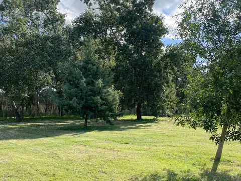 TERRENO EN VENTA, BARRIO CERRADO EL CARDAL II, LOS CARDALES