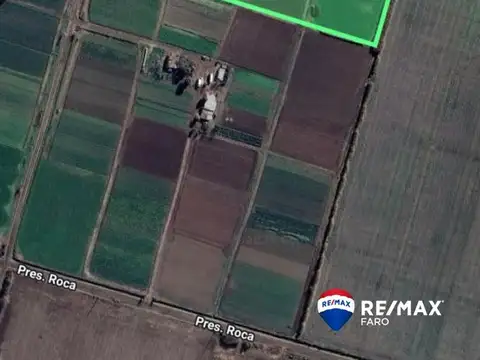 5 HECTAREAS CULTIVADAS FRUTIHORTICOLA  A. GALLARDO