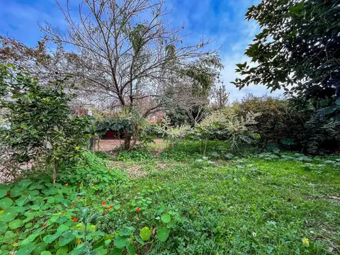 Terreno en Venta 10  mts Frente