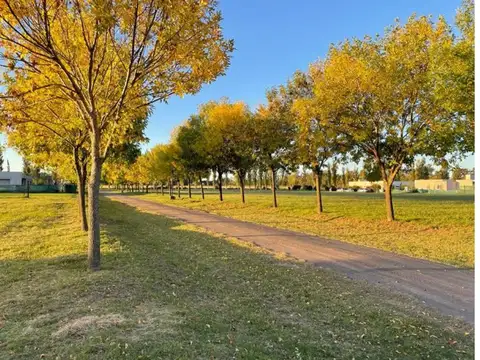 Terreno en Venta de 1078,0 m2