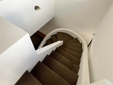 3 de febrero al 3900