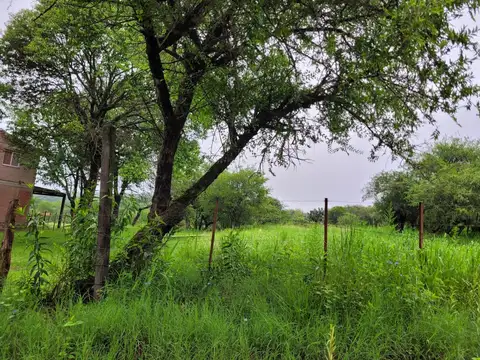 Terreno en Venta de 2256,0 m2