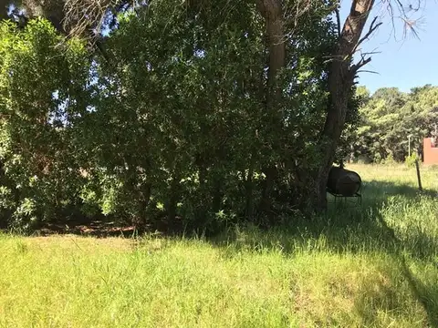 Terreno en Venta de 450,0 m2