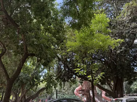 Departamento en Venta en Botanico, USD 80.000