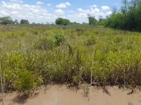 Terreno en Venta de 10000,0 m2