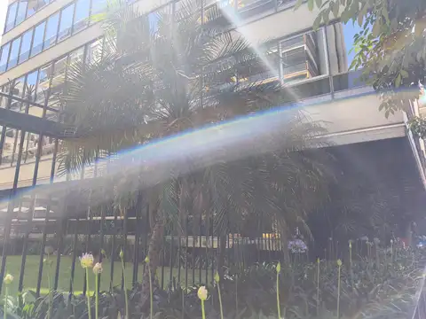 Oficina en Alquiler con 4 cocheras