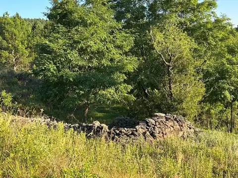 Terreno en Venta de 11347,0 m2