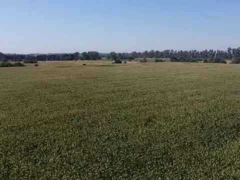 Quinta en Venta 2026 años