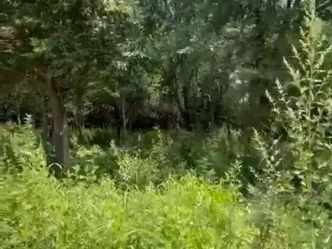 Terreno en Venta de 512,0 m2