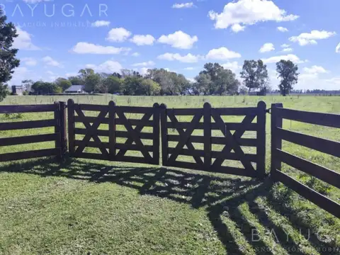 VENTA | Ex Estacion E. Fynn Fraccion de 15 has