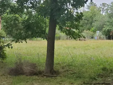 Terreno en Venta en Guernica, USD 45.000