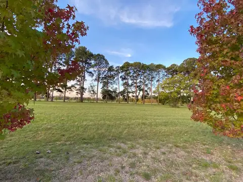 Ruta 192 Capilla del Señor: importante Lote a la venta en Pinares