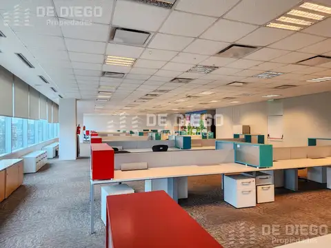 Oficina en Alquiler A Estrenar