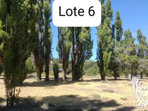 EXCLUSIVA VENTA DE 4 LOTES EN VILLA LAGO MELIQUINA – NEUQUÉN