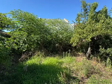 calle 22 entre 12 y 13