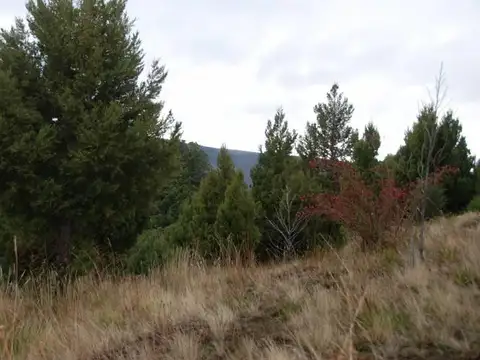 VENTA 32 HECTAREAS EN SAN MARTIN DE LOS ANDES